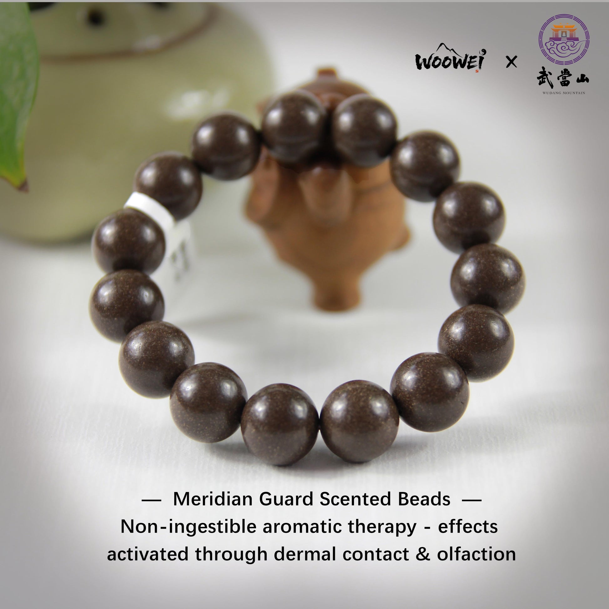 Meridian Guard Scented Beads