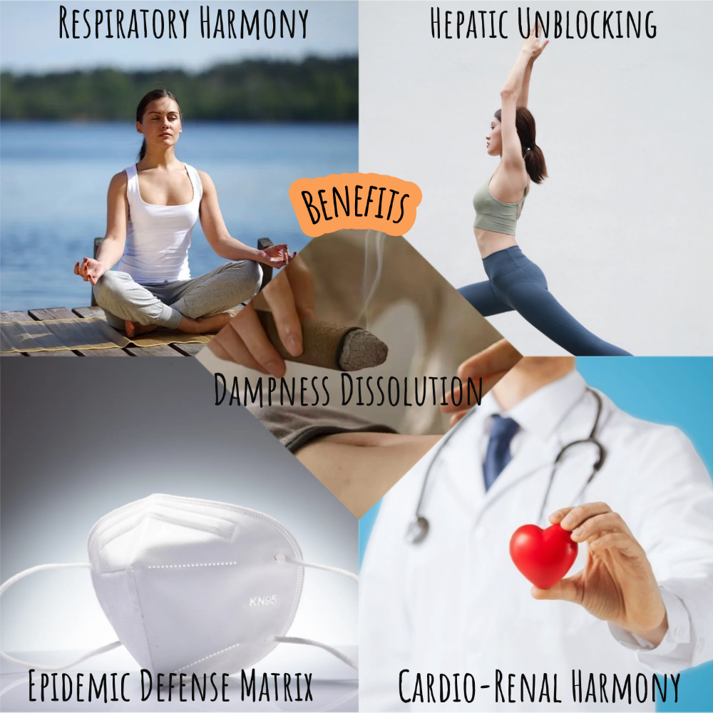 Tibetan Skywood Beads